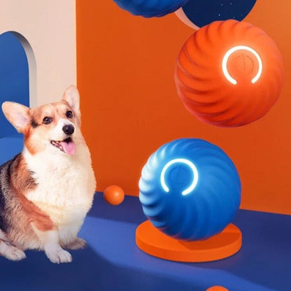 Happly bal | Oneindige speeltijd voor jouw dierenvriend!