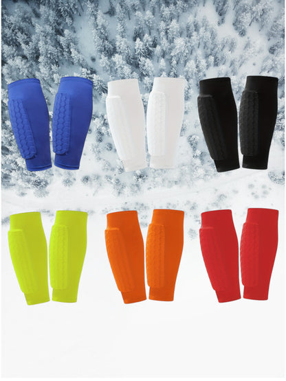 Ski scheen beschermers