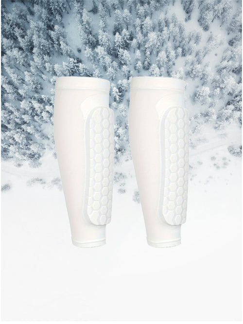 Ski scheen beschermers