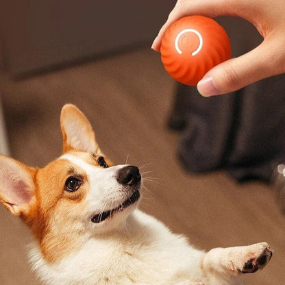 Happly bal | Oneindige speeltijd voor jouw dierenvriend!